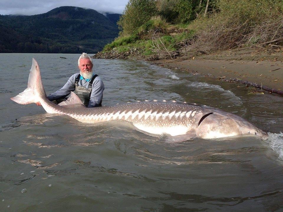 Mare respect  - 14661856653513101522371972681257n.jpg